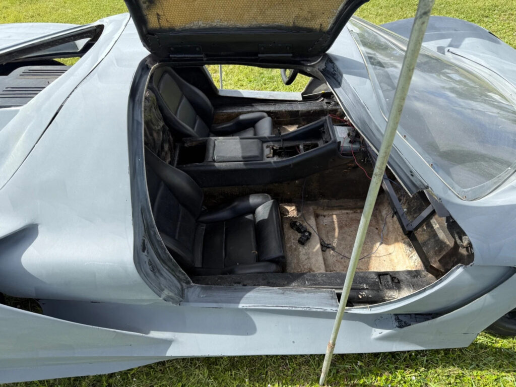 Razor Body Style Exotic Look, Gull-Wing Doors, Mid Engine V8 Chevy