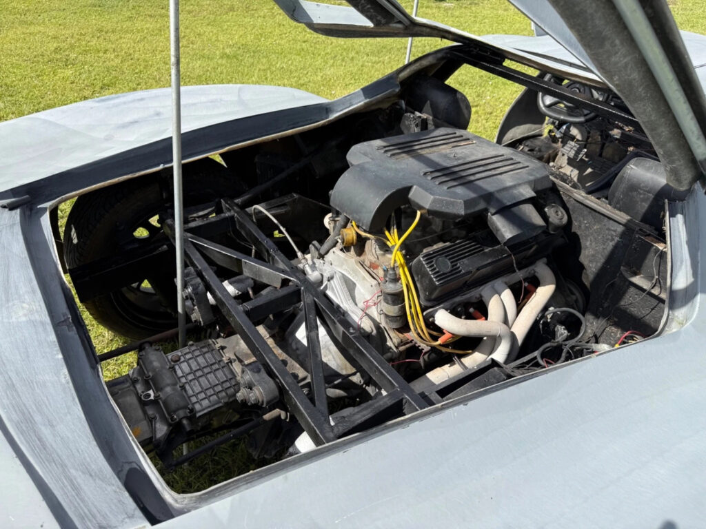 Razor Body Style Exotic Look, Gull-Wing Doors, Mid Engine V8 Chevy